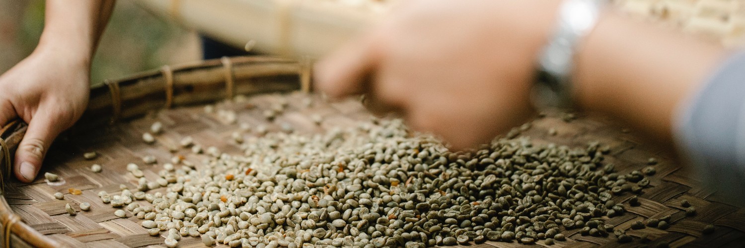 5 Common Coffee Bean Processing Methods：Natural, Washing, Honey